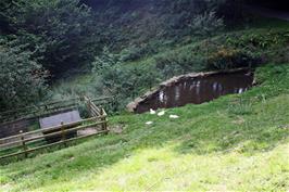 The Aylsebury ducks at their luxury home in Leusdon, 14.9 miles into the ride