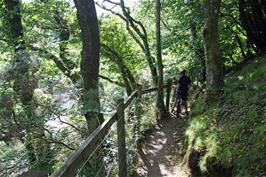 Dillan on the riverside track from Spitchwick to New Bridge