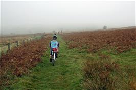 The Abbots Way track near Water Oak Corner