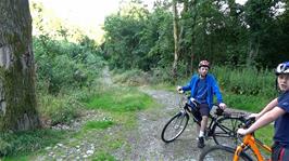 The start of the woodland track to Cuddyford Cross at Waterleat, Ashburton