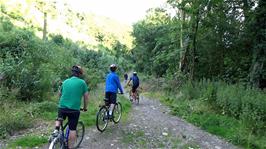 Starting our ride along the woodland track to Cuddyford Cross from Waterleat, Ashburton