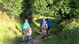 Approaching Cuddyford Cross on the woodland track from Waterleat, Ashburton