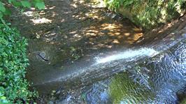 The Cod Beck, running through the grounds of Osmotherley Youth Hostel