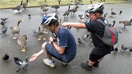 John tries to coax the birds to land on Michael at Regent's Park, London