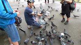 Michael the bird-whisperer at Regent's Park, London