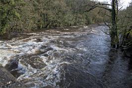 Downstream view of the River Dart in full flood at Austin's Bridge, Buckfastleigh