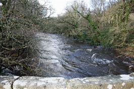 Upstream view of the River Dart in full flood at Austin's Bridge, Buckfastleigh