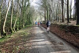 The woodland lane between Leusdon and Spitchwick