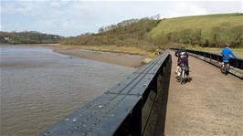 View along the river Torridge towards Bideford from the railway bridge on the Tarka Trail, 15.1 miles into the ride