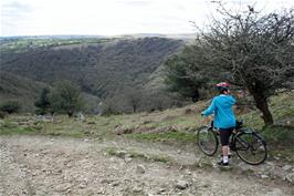 Fabulous view to a secluded section of the Dart Valley, from Dr Blackall's Drive near Mel Tor