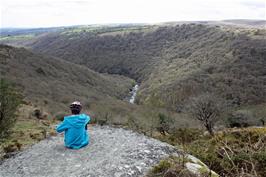 View of the secluded Dart Valley from Mel Tor on Dr Blackall's Drive