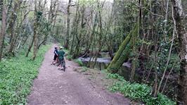 The track through Broadridge Wood near Chercombe Bridge