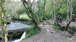 Weir and leat in Broadridge Wood