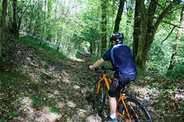 Dillan riding the path through Burchetts Wood