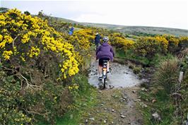 Riding the ford near Lud Gate