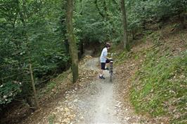 Part of the "Blue" off-road route in the Plym Valley