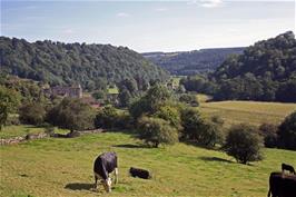 View to Rievaulx Abbey from the Crabtree Hall track, 13.9 miles into the ride