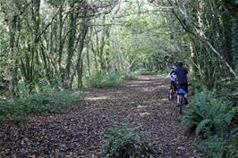 The Avon Railway path