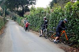 Returning home on the lane from South Brent