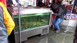 King Crabs at Bergen Fish Market