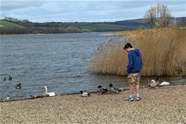 Lawrence at Slapton Ley