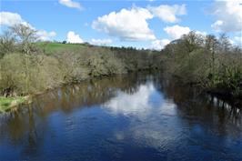 The River Dart from Staverton Bridge, looking towards Totnes