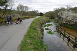 The River Fowey near Furswain, Bodmin Moor