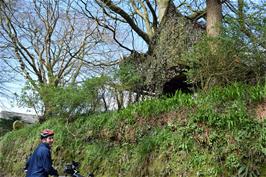 This impressive treehouse almost escaped our attention at Trekennick