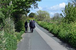 Cycle route along The Saltings, Lelant