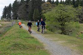 Approaching Burrator on the cycle path from Princetown