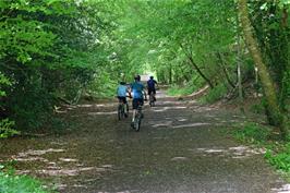 The Wrey Valley trail from Bovey Tracey to Lustleigh