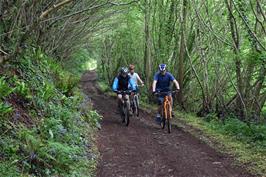 Fleet Mill Lane as it passes through Fulls Weatheracre Plantation