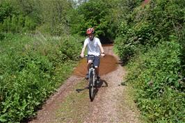 George on a rather wet section of Fleet Mill Lane