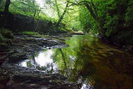 South view of the River Avon