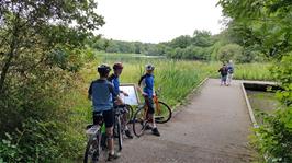 Stover Lake, Country Park