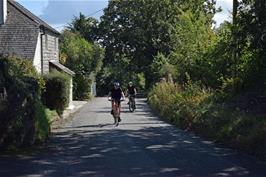 Returning along Culver Lane, Rattery