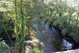 The River Erme, from Erme Bridge