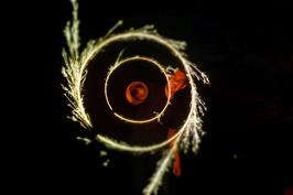 Dillan uses a sparkler burning in two places to create a unique long-exposure photograph