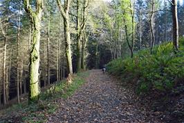 John on the track through Holne Woods