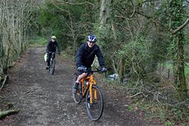 Jude and Dillan exploring a side track near Glazebrook, South Brent