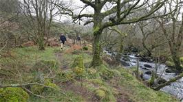 The footpath from Saddle Bridge, following the O Brook