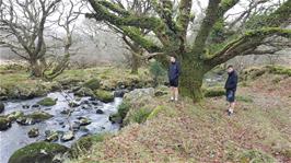 Jude and Dillan enjoying the magnificent scenery by the O Brook