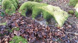 Close-up of another Mortar Stone