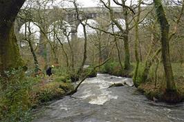 The Treffry Viaduct