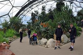 Jude and Dillan in the very warm Rainforest Biome, Eden Project