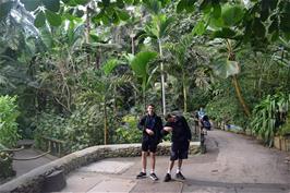 Jude and Dillan at the Eden Project