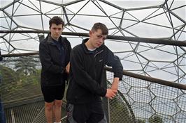 The Rainforest Lookout, high up in the Rainforest Biome at the Eden Project