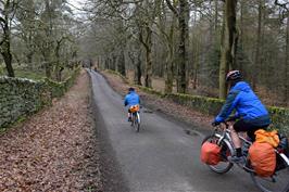 Riding through Sherriff Wood, Grindleford