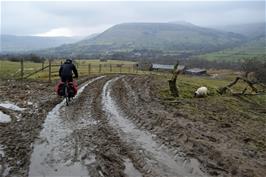 Dillan tackles the muddy track bravely