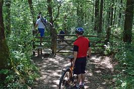 Negotiating the stiles through Hembury Woods